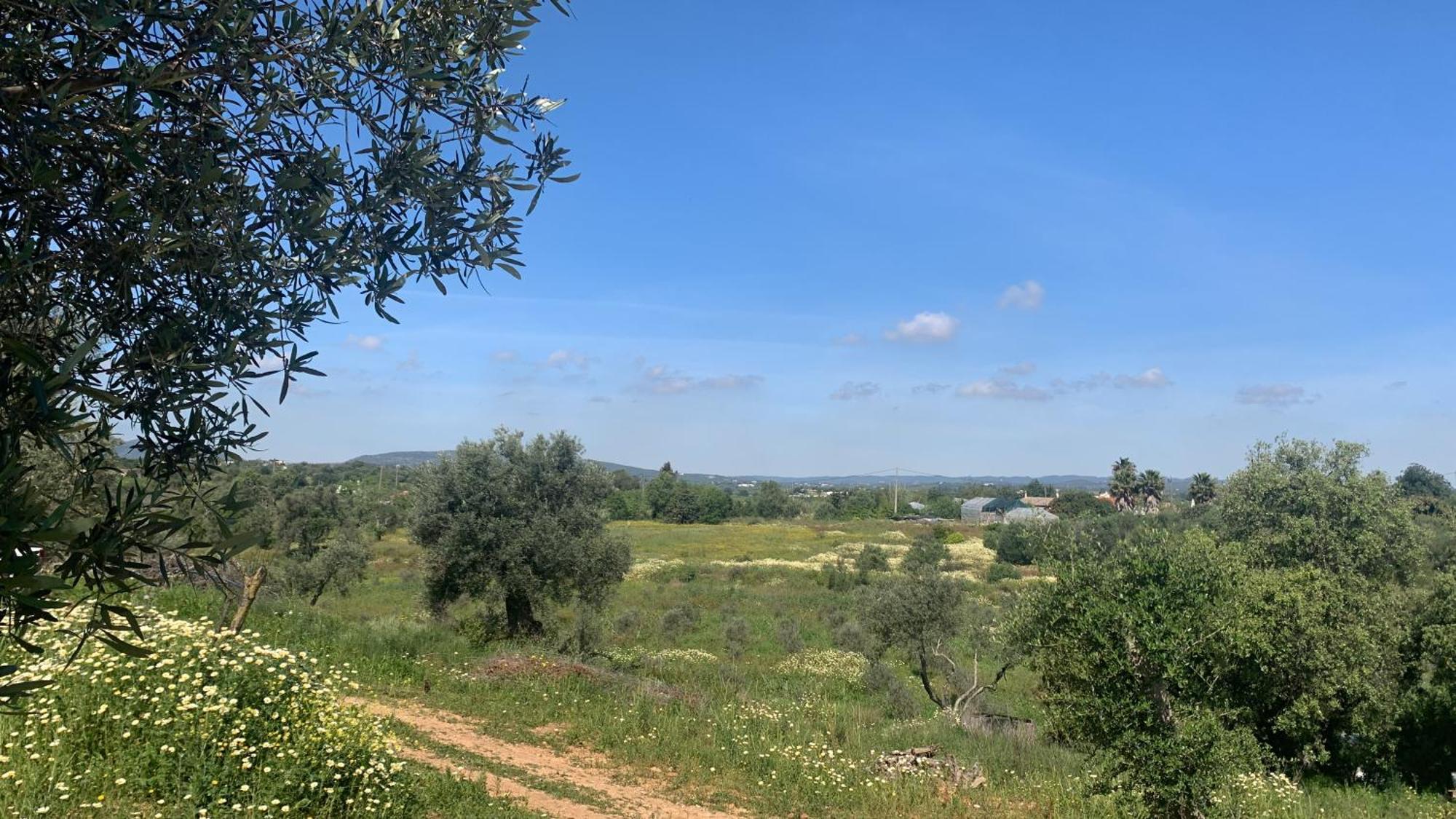 B&B Quinta A Fonte Tavira - Adults Only 외부 사진
