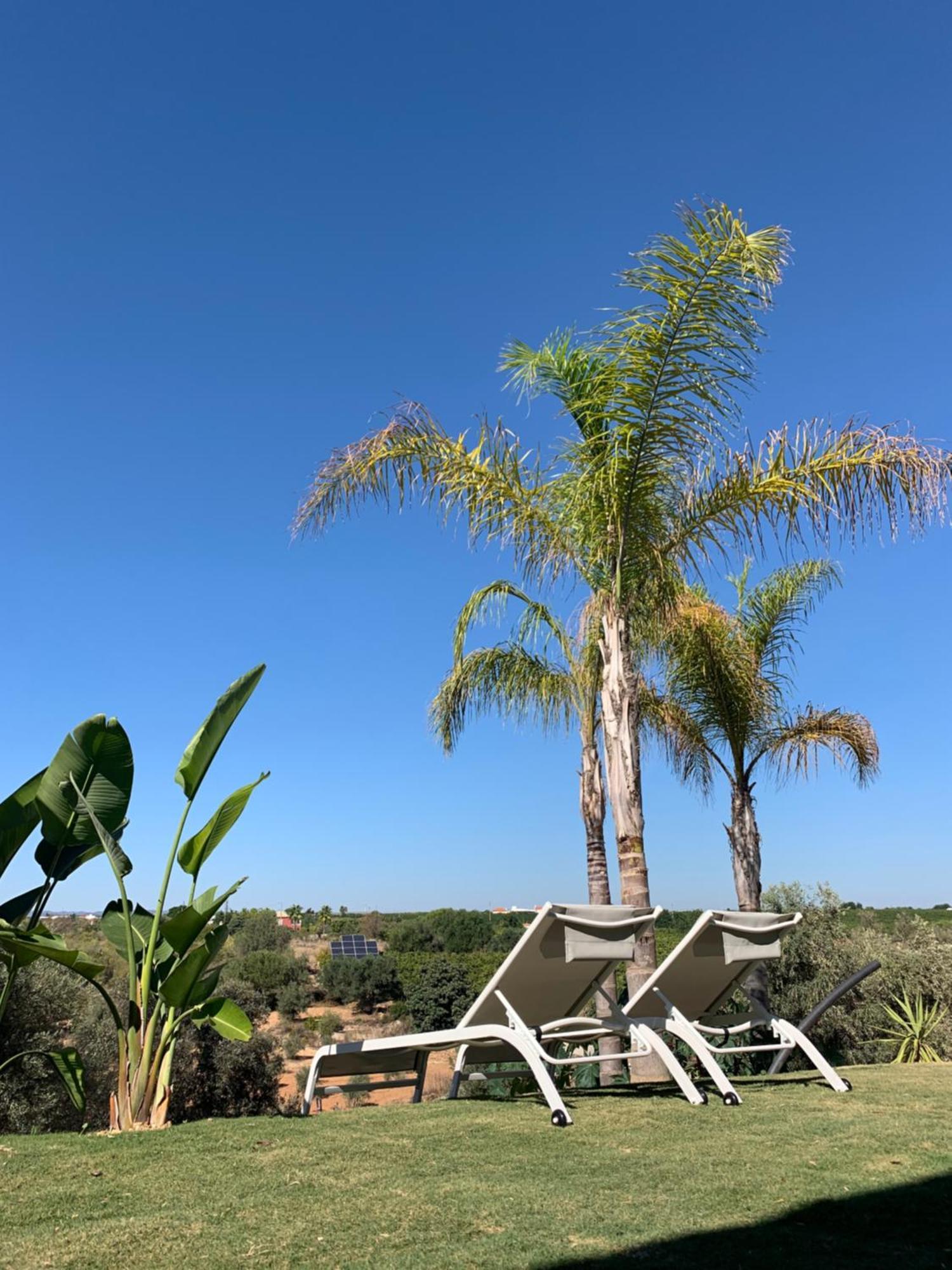 B&B Quinta A Fonte Tavira - Adults Only 외부 사진