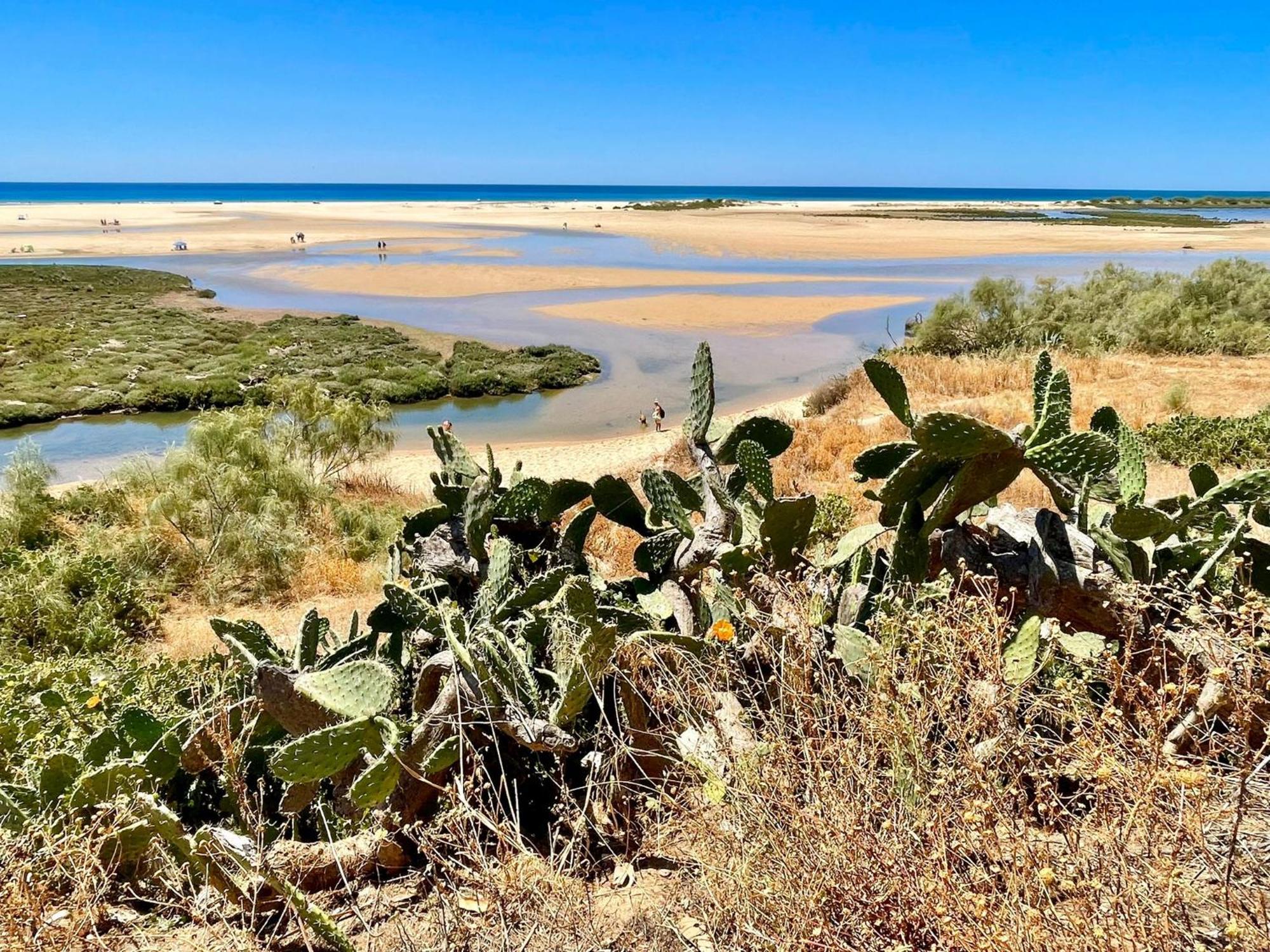 B&B Quinta A Fonte Tavira - Adults Only 외부 사진